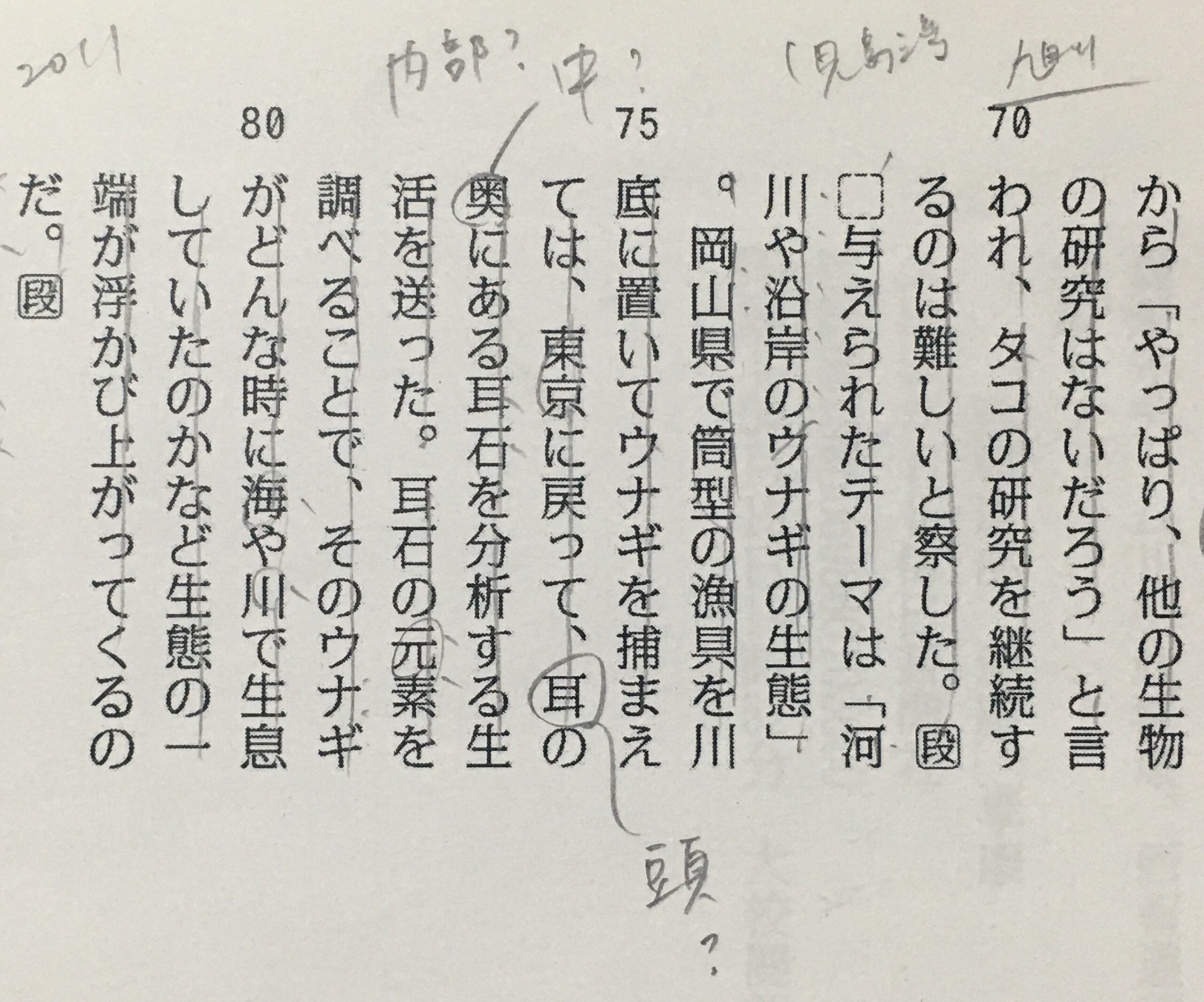 ウナギの「耳の奥」？