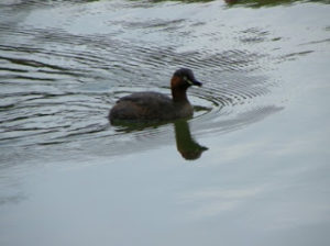 「読めない字」
