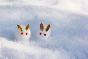 【雪】雪代水、斑雪、紅炉上一点の雪、雪ぐ、凍み雪