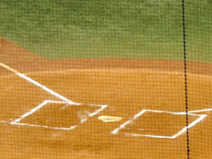 【センバツ出場校】遠軽、菰野、常葉菊川、済美、済々黌