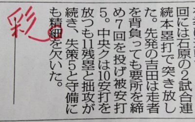 「精細」と「精彩」