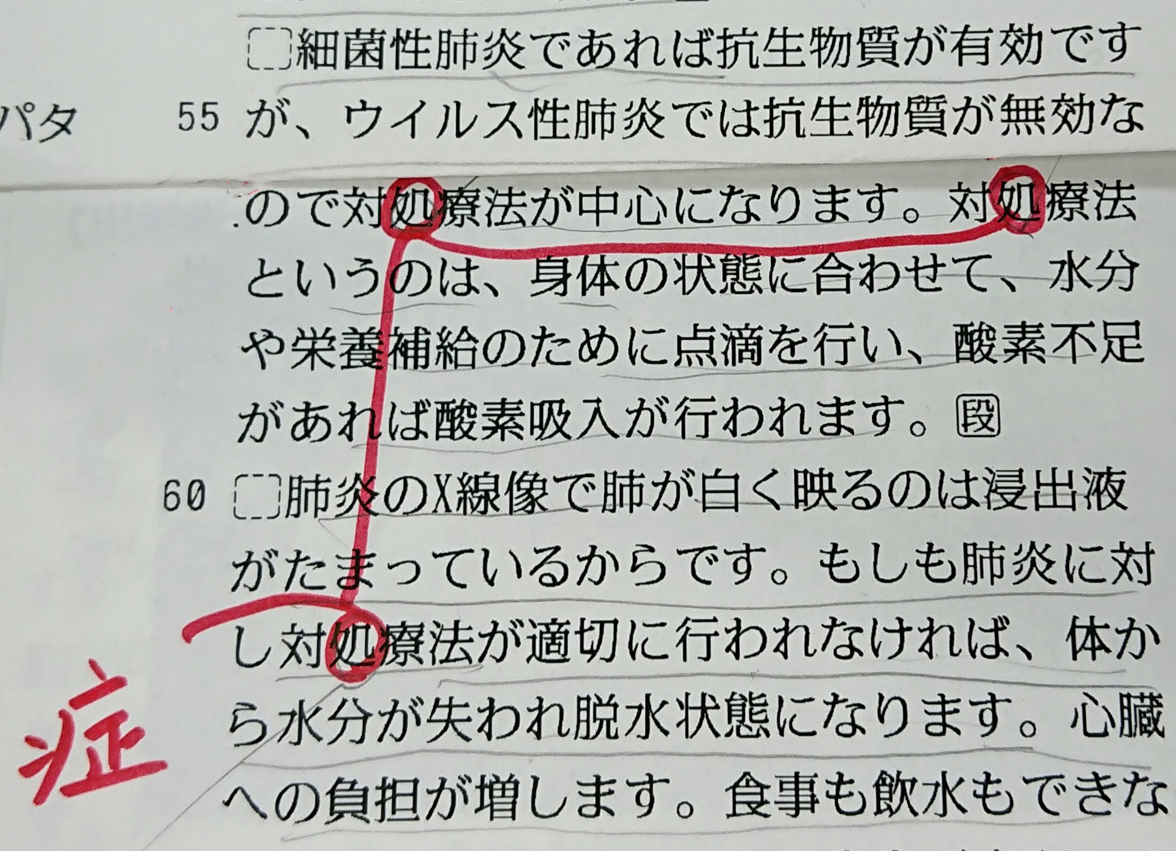 対処療法 ではなく 対症療法 毎日ことば