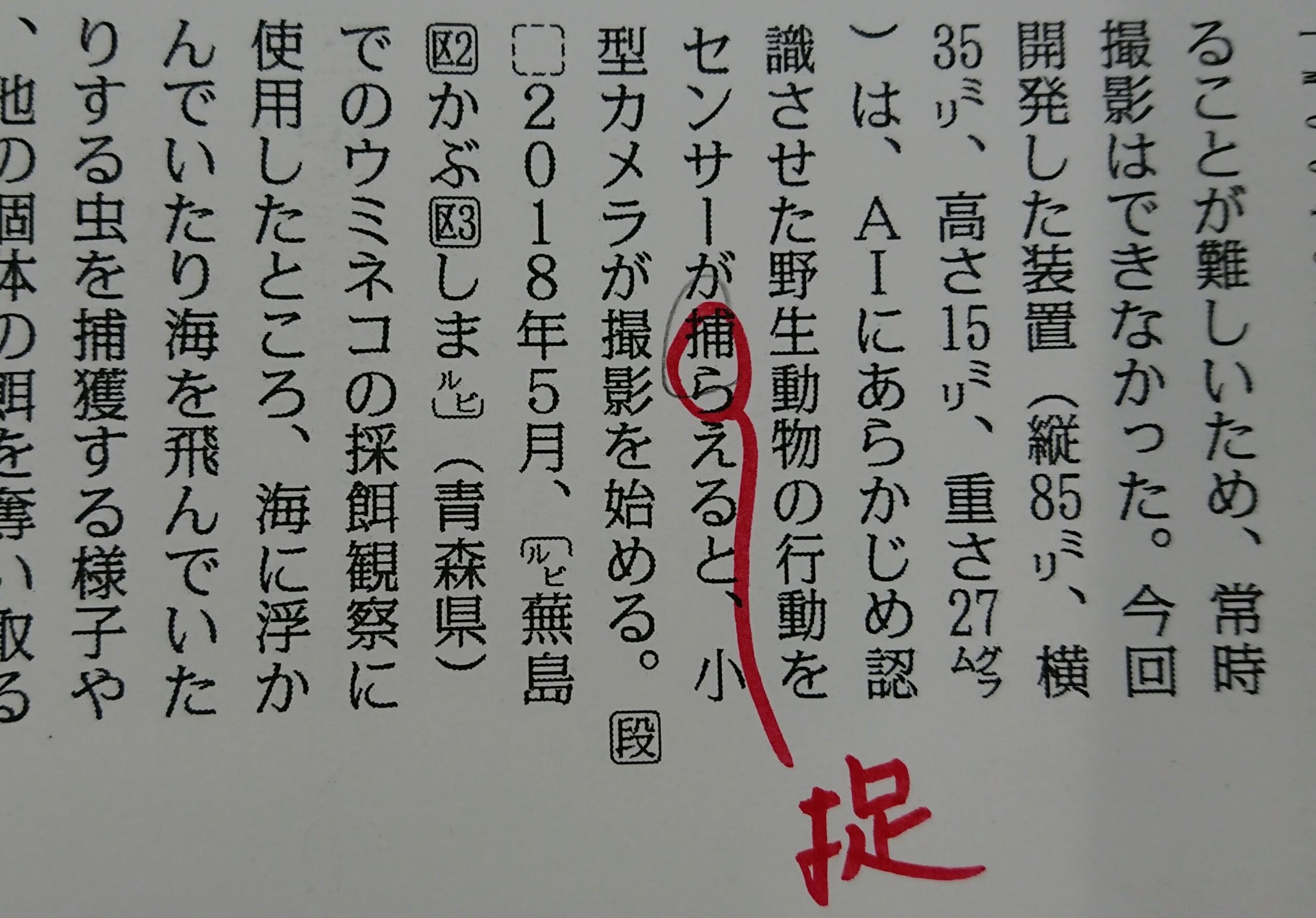 捕らえる と 捉える とらえる の使い分け 毎日ことば