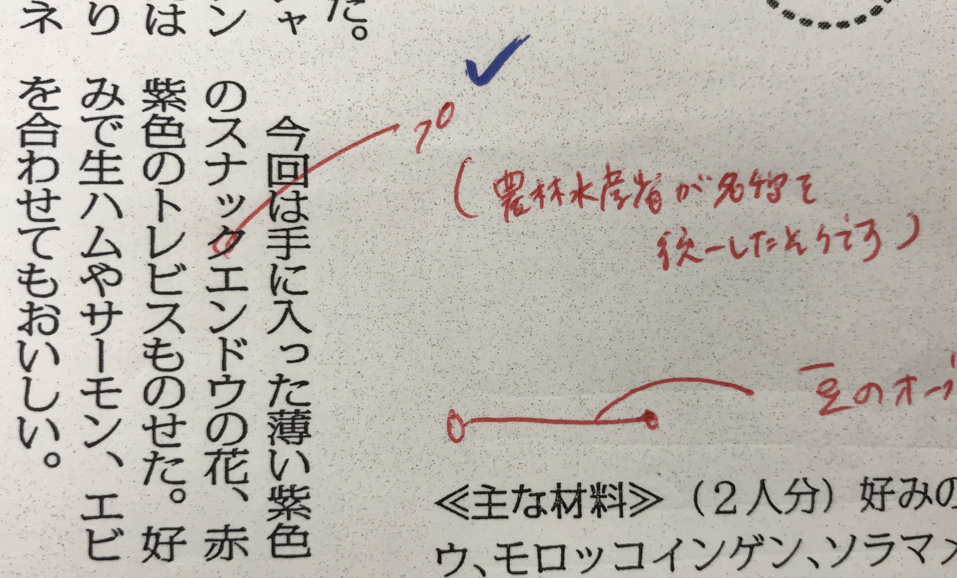 いんげん 英語 読み方