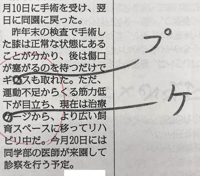 「×ギブス（○ギプス）」と「×ゲージ（○ケージ）」