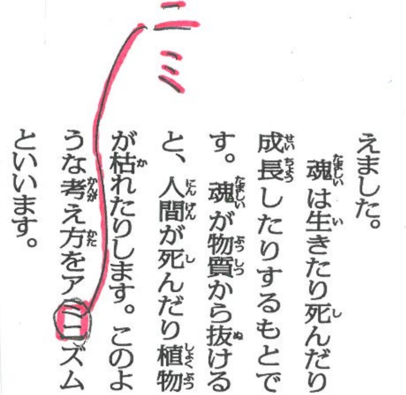 「アミニズム」？「アニミズム」？