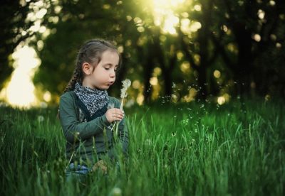 【子供】鼓草、御代の御宝、小人料金、万緑の中や吾子の歯生え初むる
