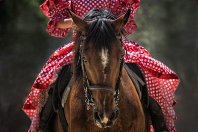 【馬】流鏑馬、馬手、駑馬、種牡馬、天馬空を行く