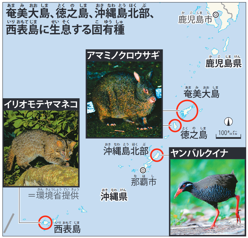 【校閲クイズ】世界自然遺産登録へ