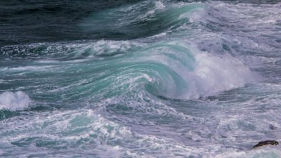 【潮】海潮、潮煮、潮路、高潮線