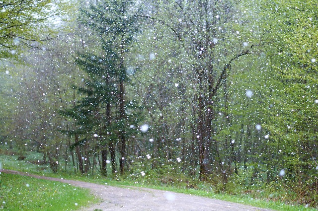 ありえない みぞれ交じりの雨 雪 毎日ことば